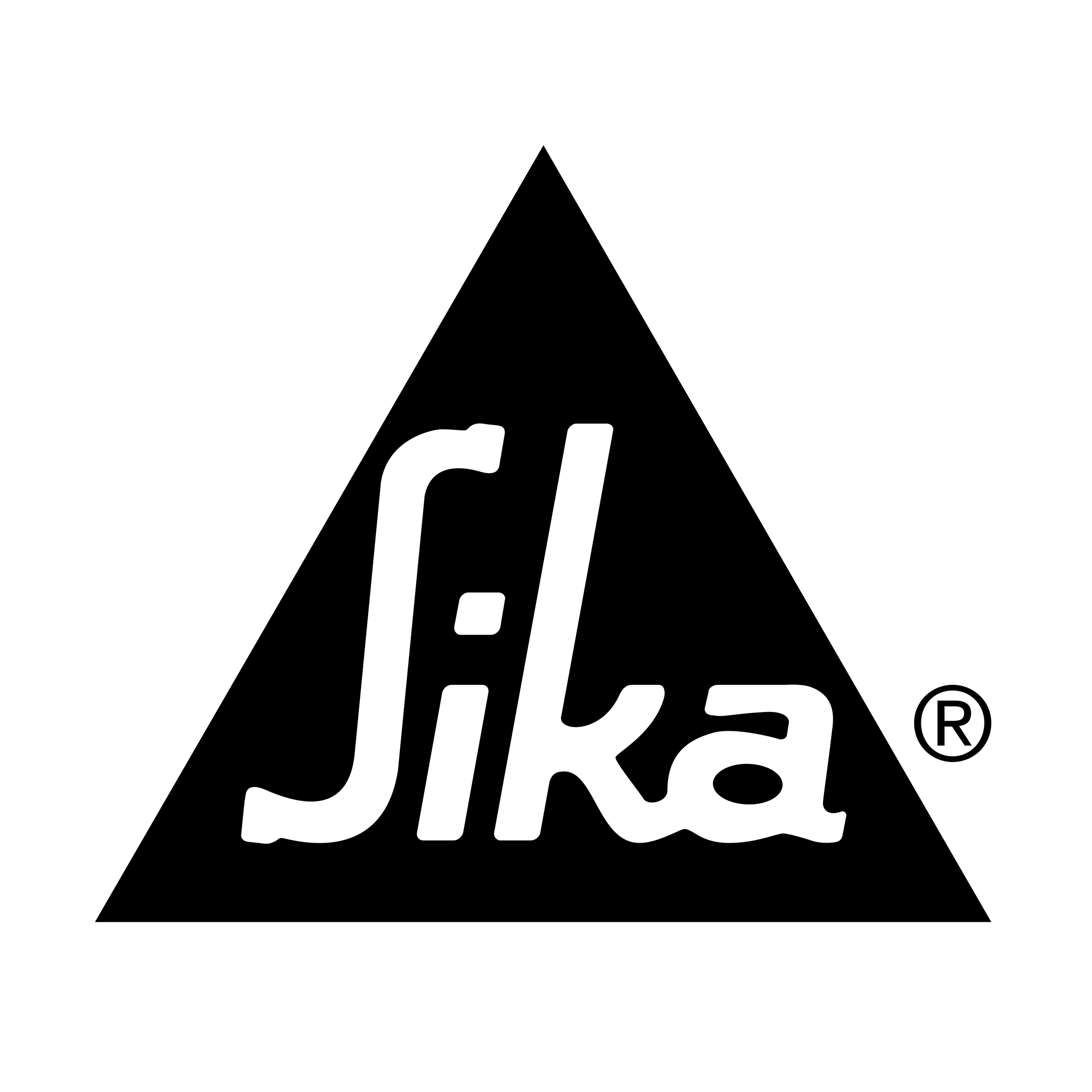Proyecto: sika